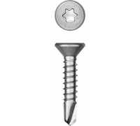 KRAFTOOL  DS-C 19 х 4.2 мм, А2, сверло, потай, ТХ20, саморез нержавеющий, 450 шт (300932-42-019)